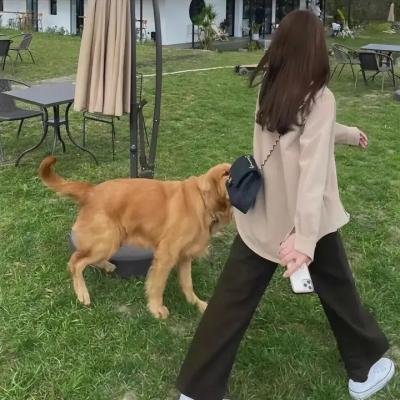 恶搞之家第二十一季